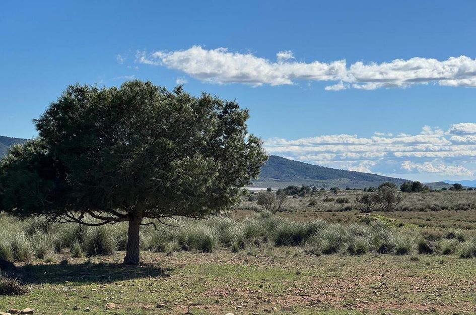 Finca in Casas Nuevas