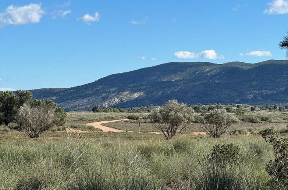 Finca in Casas Nuevas
