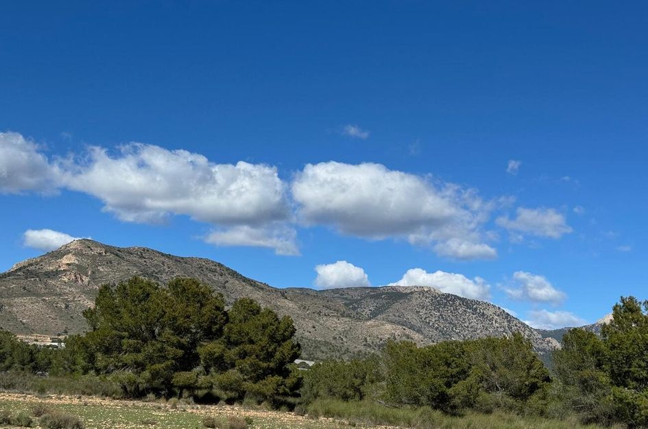 Finca in Casas Nuevas