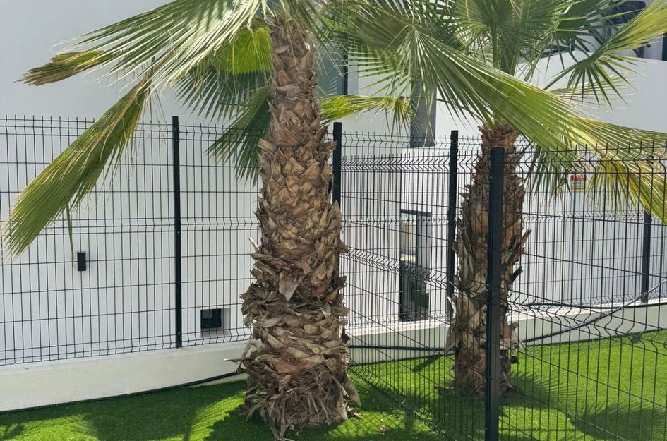 Appartement in Los Almendros