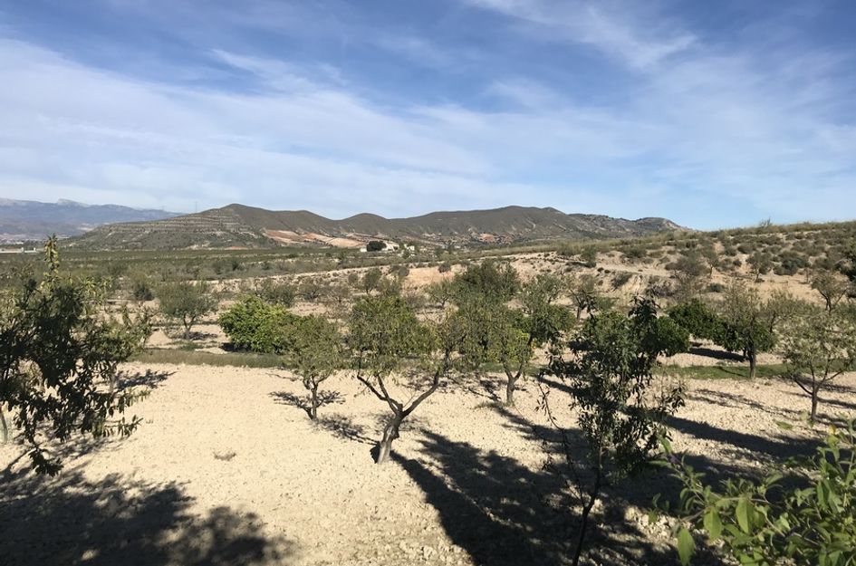 Finca in Aguaderas