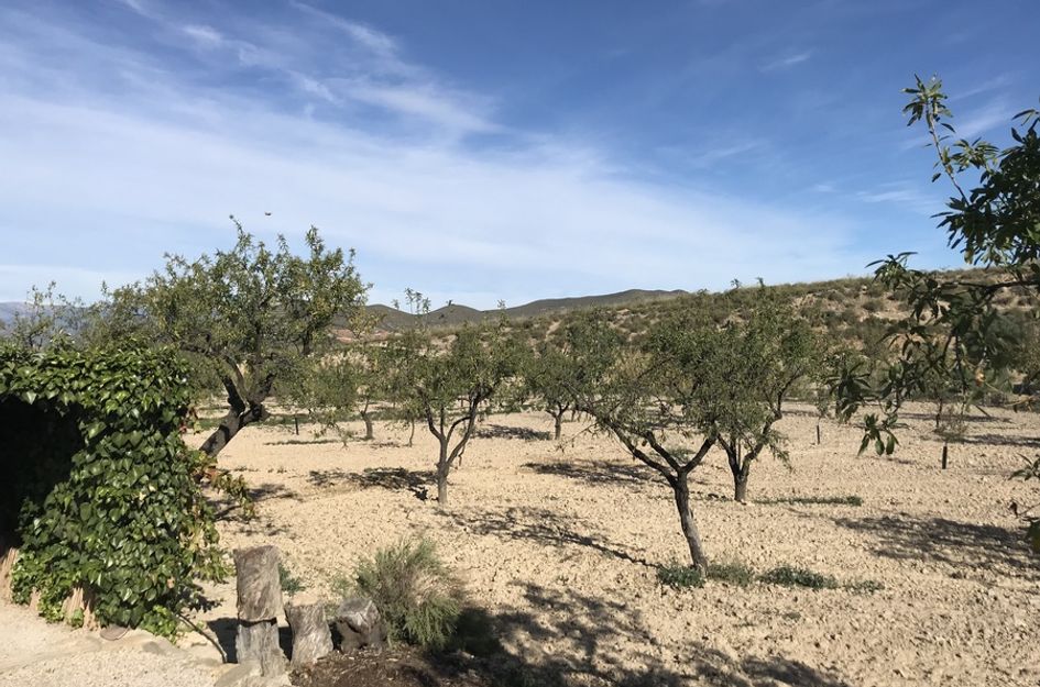 Finca in Aguaderas