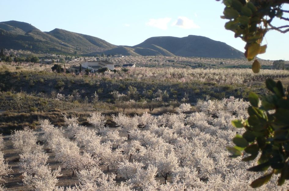 Finca in Aguaderas