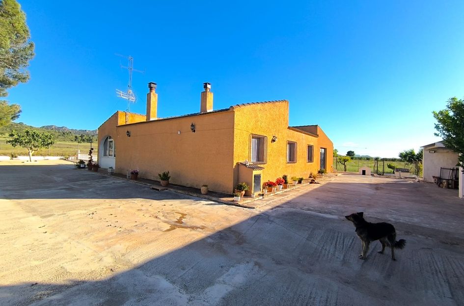 Huis in Yecla