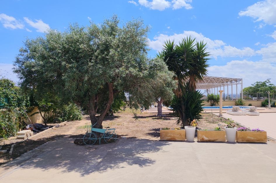 Villa in Los Montesinos