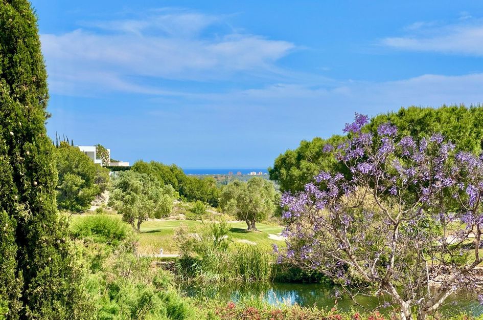 Villa in Pinar de Campoverde