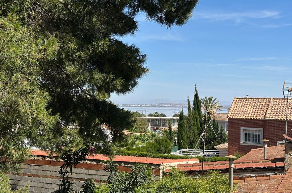 Villa in Torrevieja