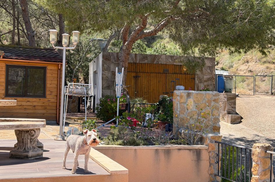 Huis in Desemparats