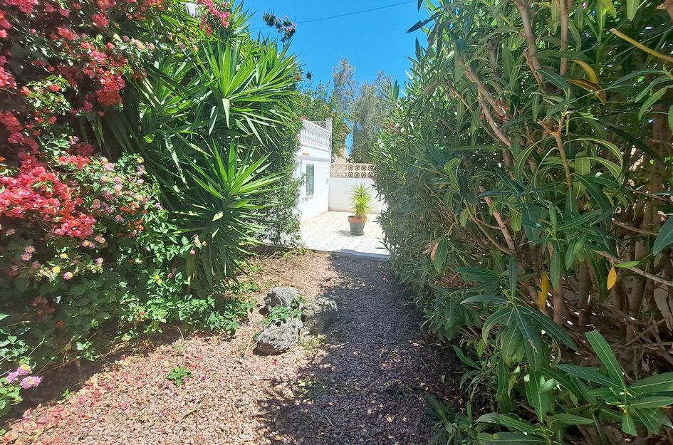 Villa in San Miguel de Salinas