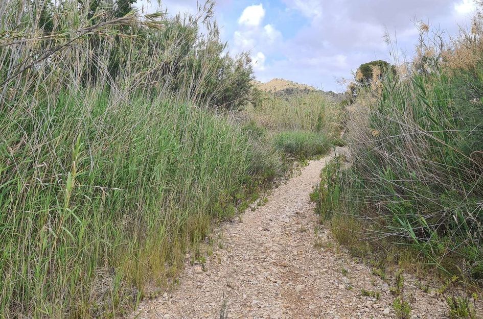 Perceel in El Salado Alto
