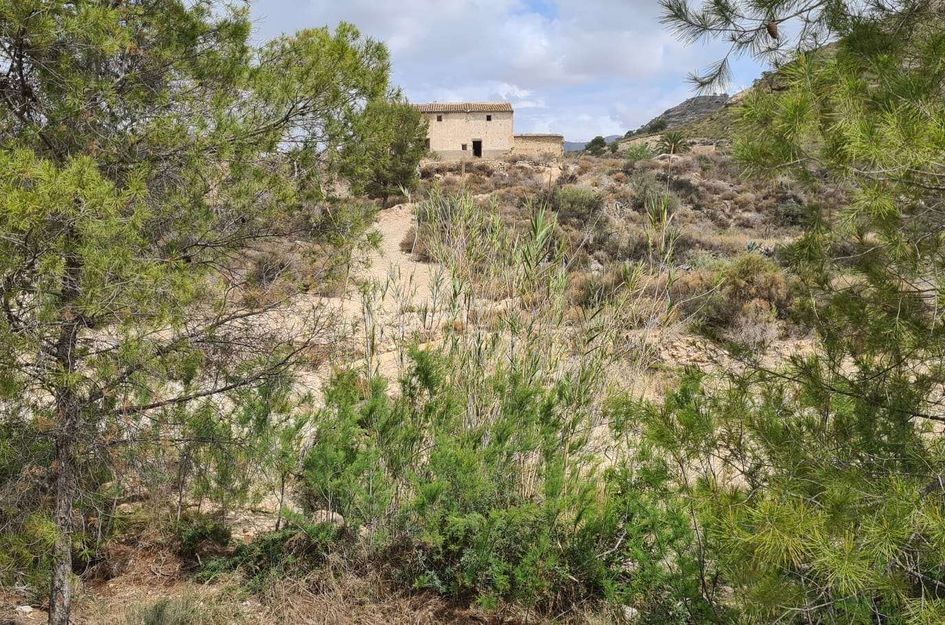 Perceel in El Salado Alto