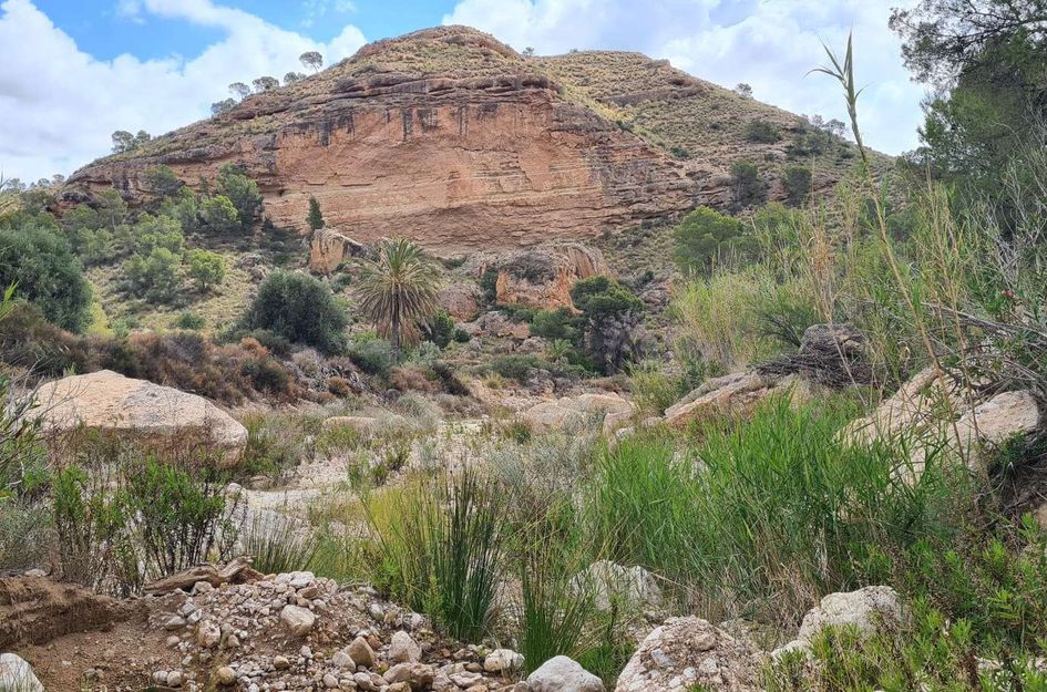 Perceel in El Salado Alto