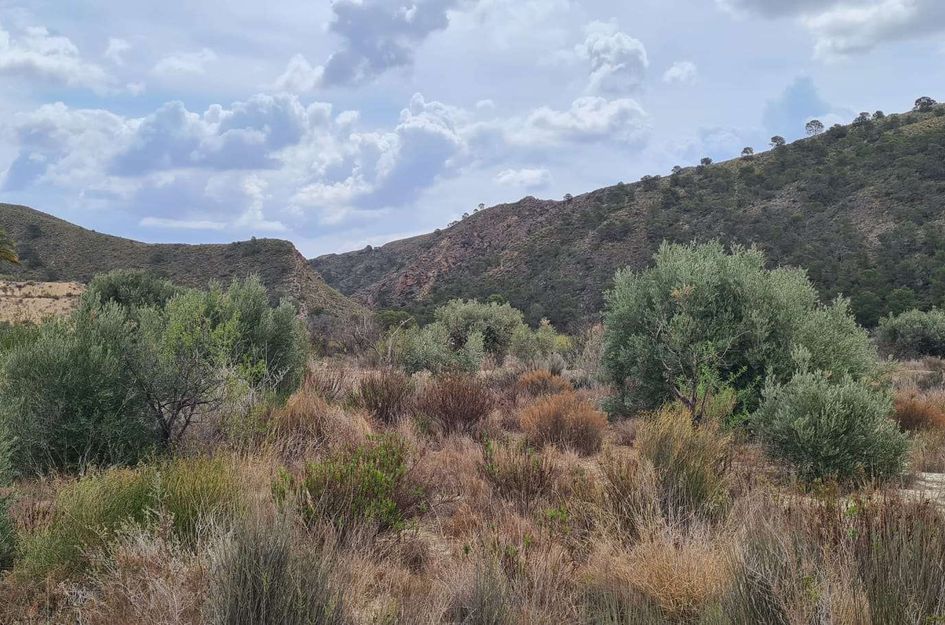 Perceel in El Salado Alto