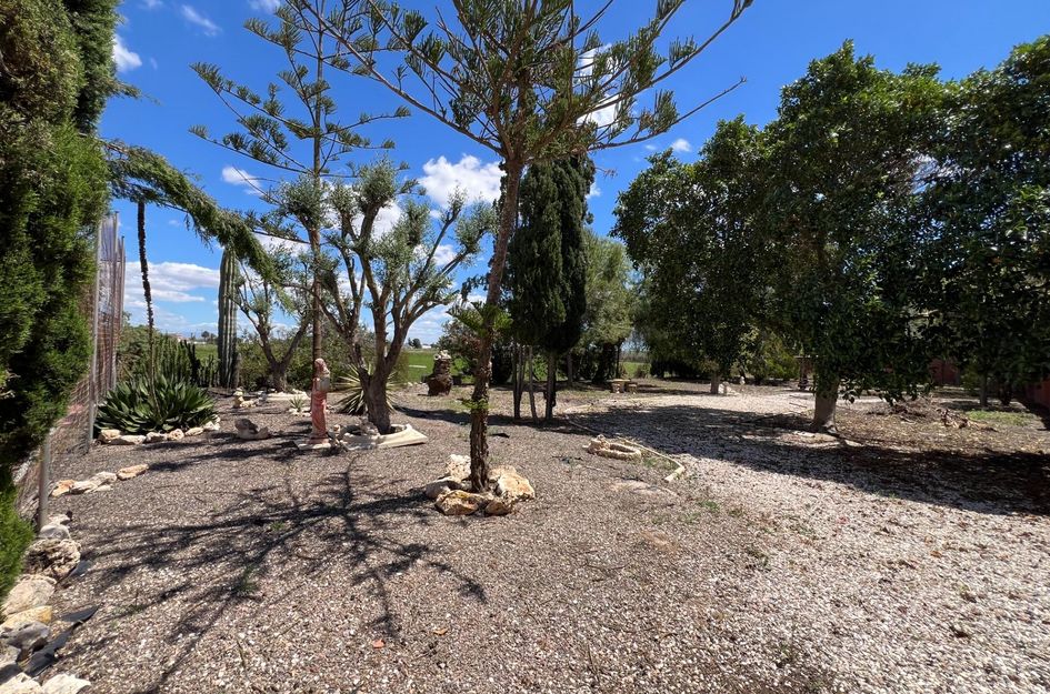 Finca in Florida Baja