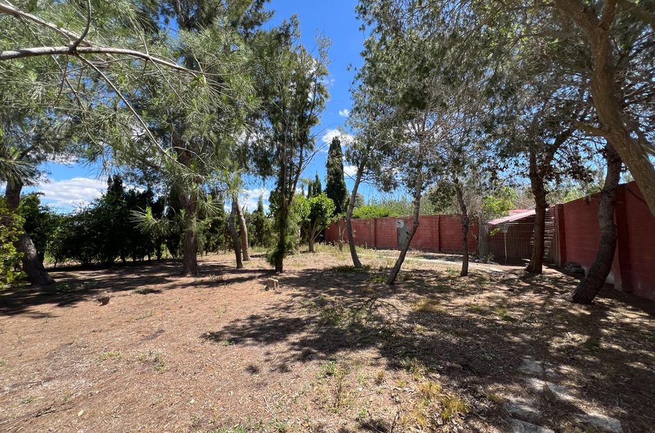 Finca in Florida Baja