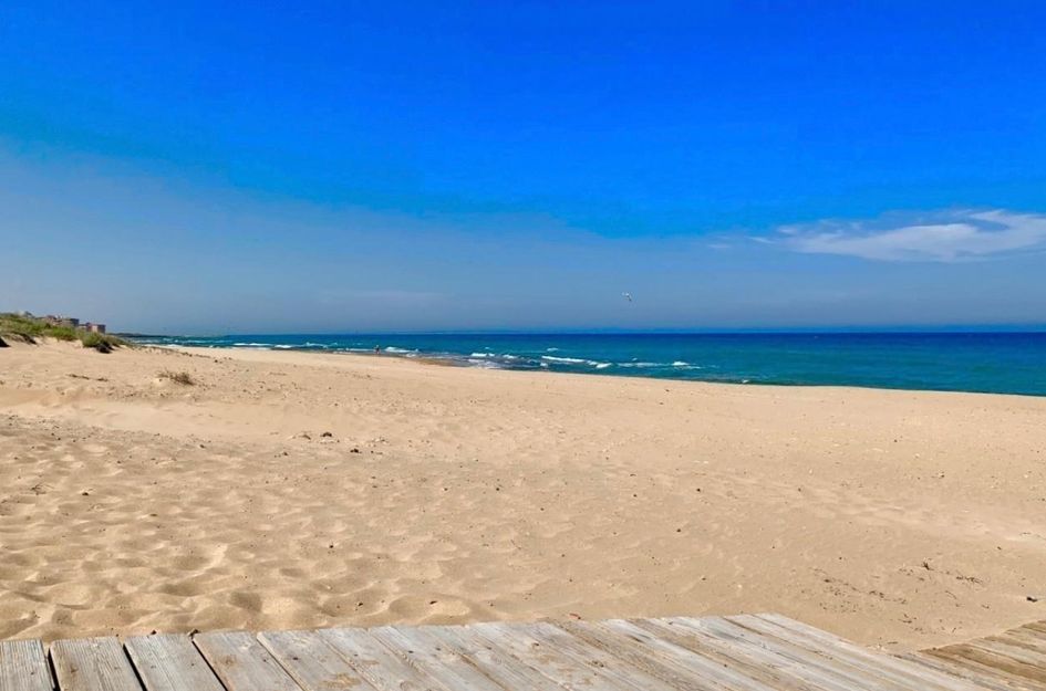 Appartement in Torrevieja