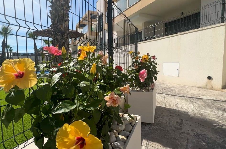 Bungalow in Orihuela Costa