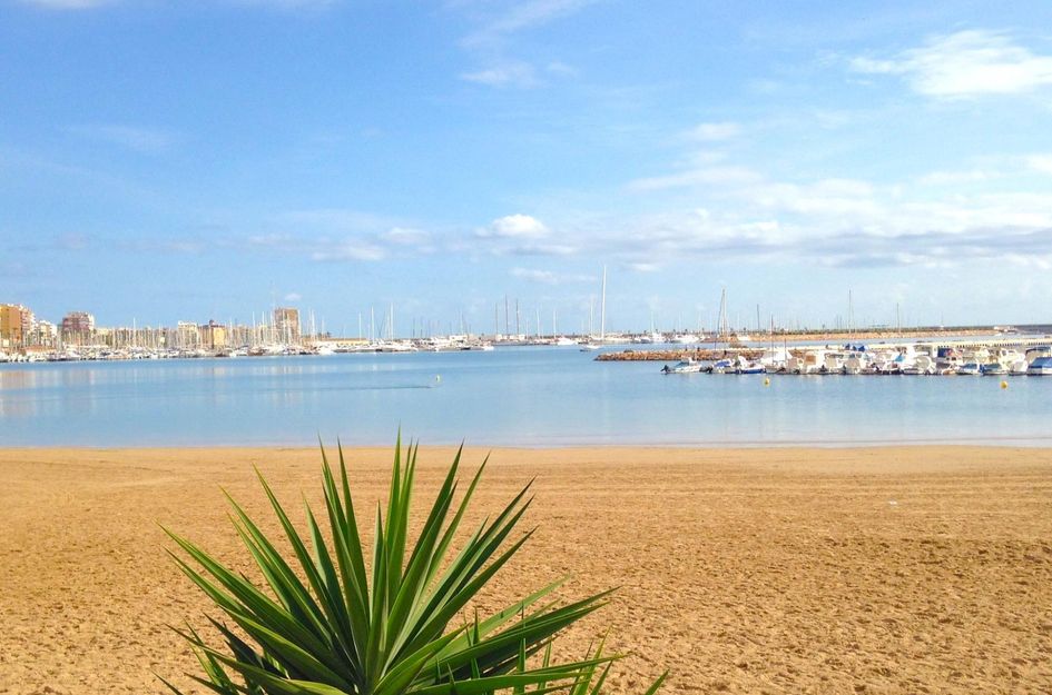 Appartement in Torrevieja