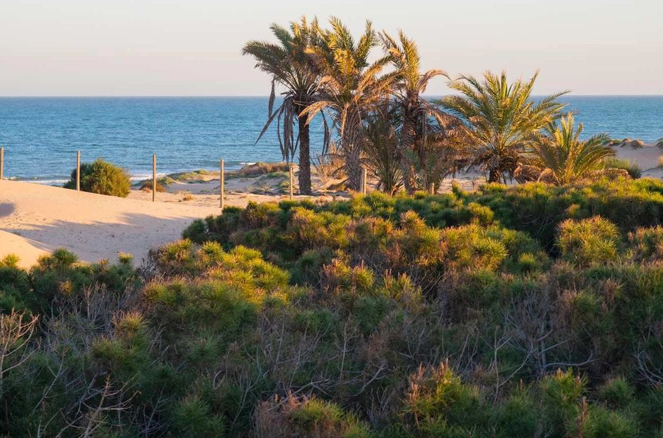 Appartement in Guardamar del Segura