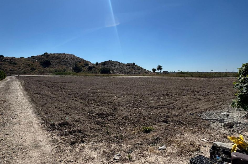 Finca in Granja de Rocamora