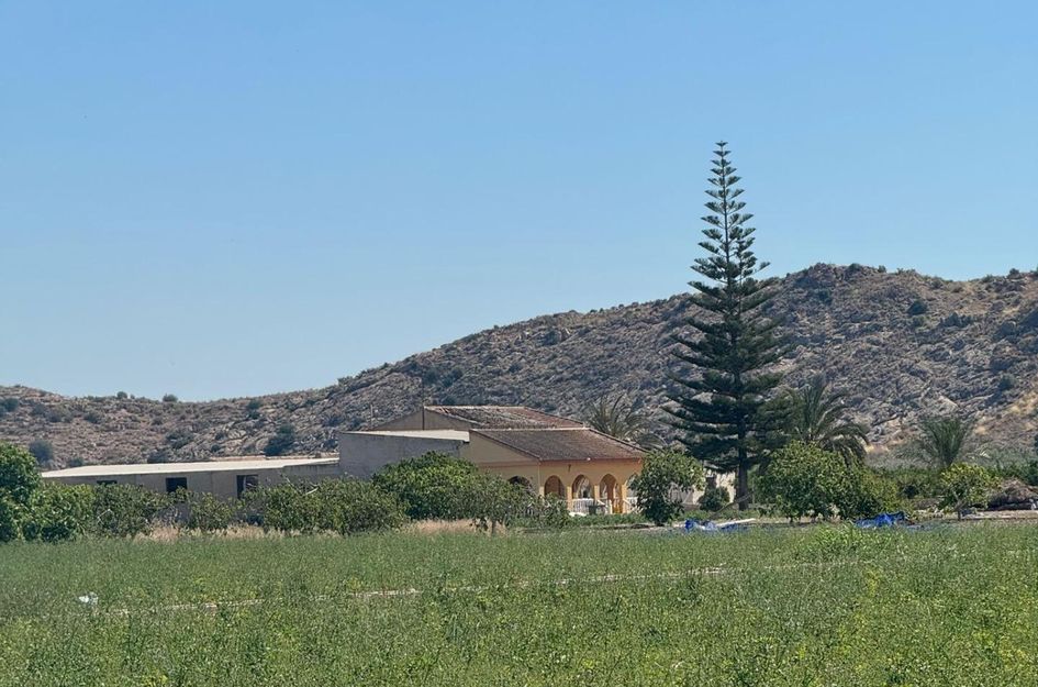 Finca in Granja de Rocamora