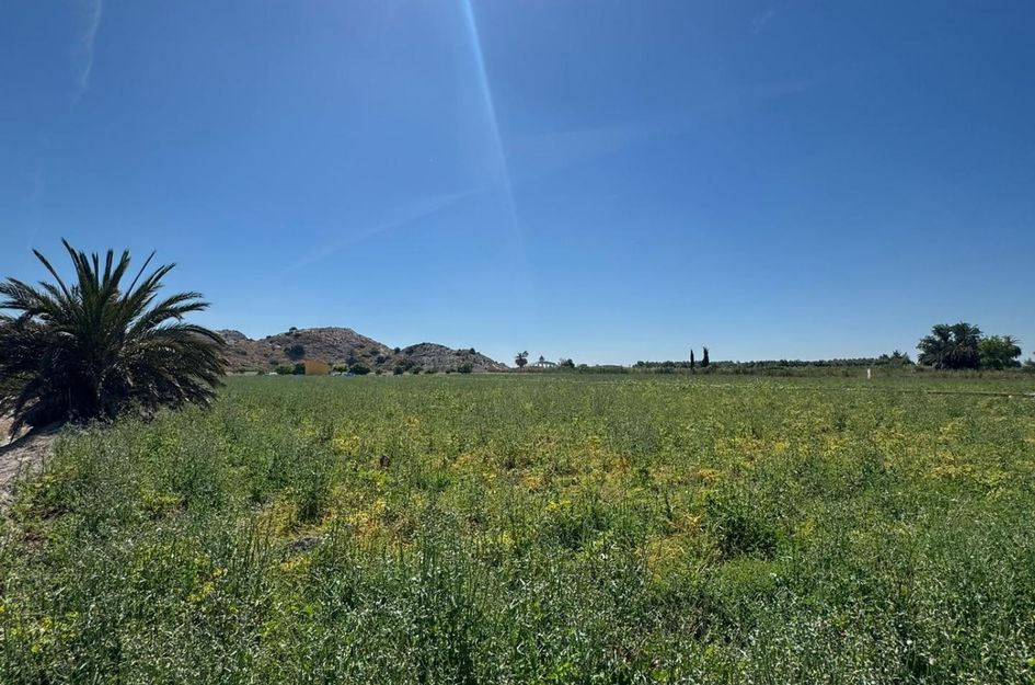 Finca in Granja de Rocamora