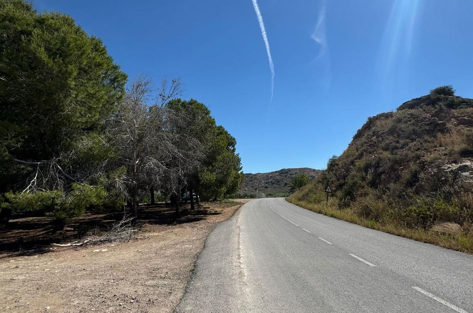 Finca in Granja de Rocamora