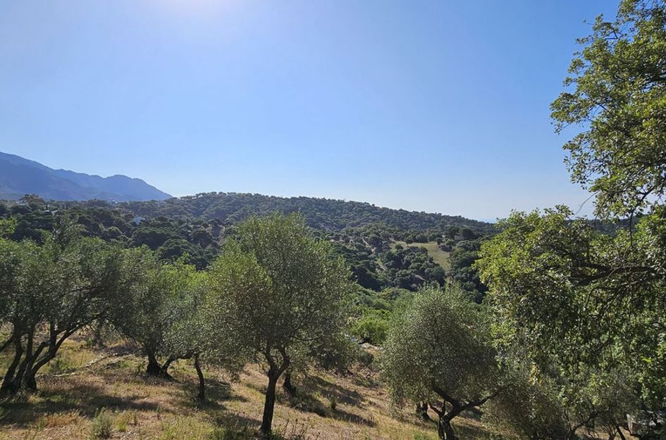 Perceel in Casares