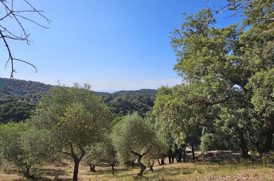 Perceel in Casares