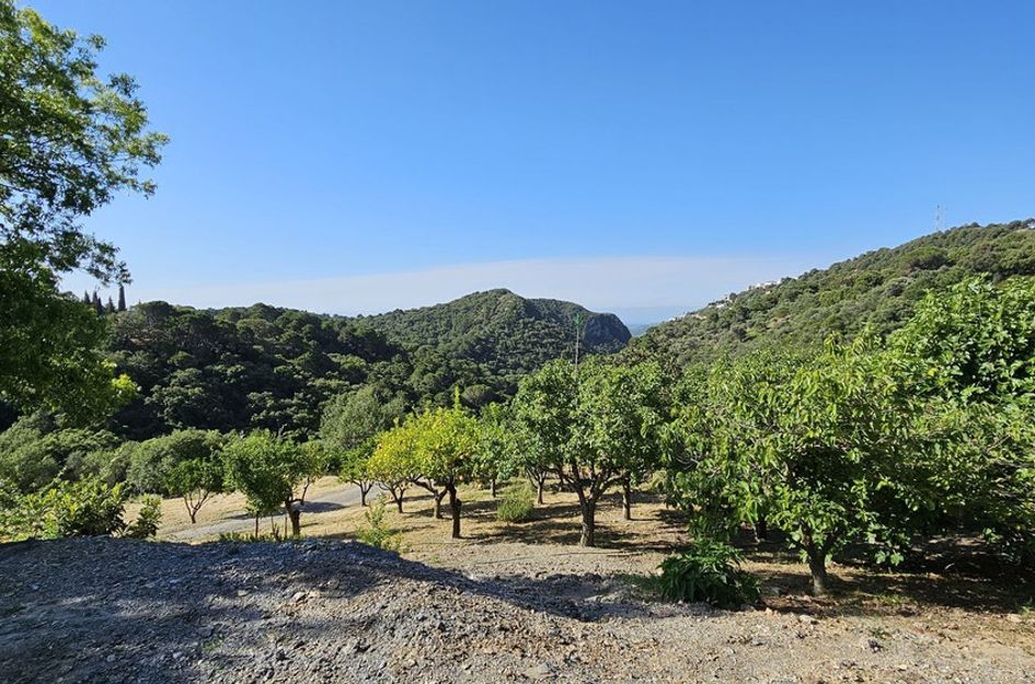 Perceel in Casares