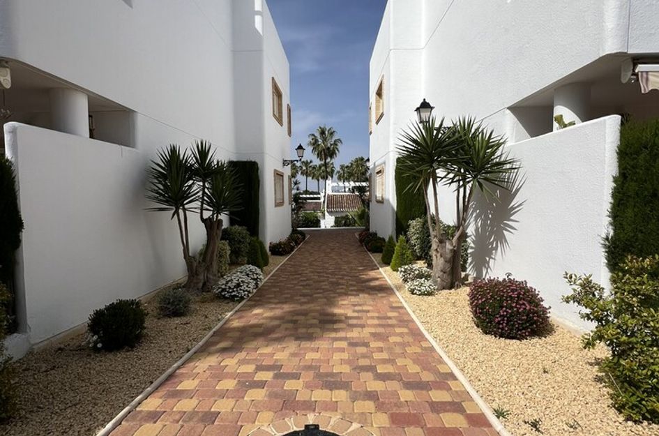 Appartement in Monte Zenia