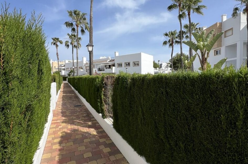 Appartement in Monte Zenia