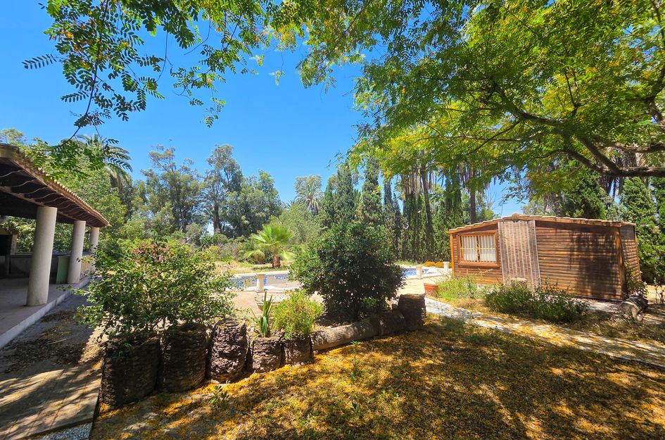 Villa in Elx