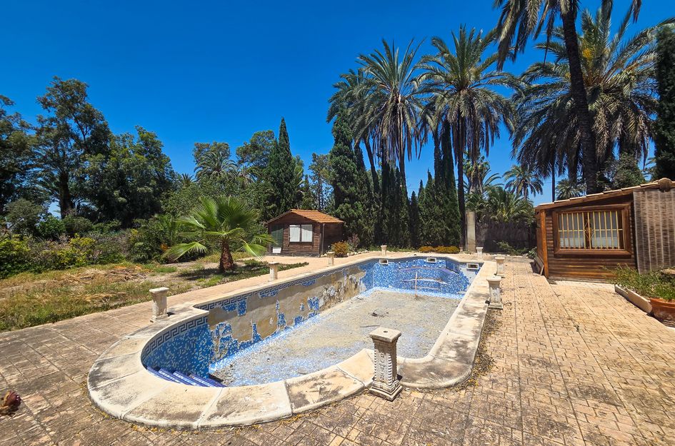 Villa in Elx