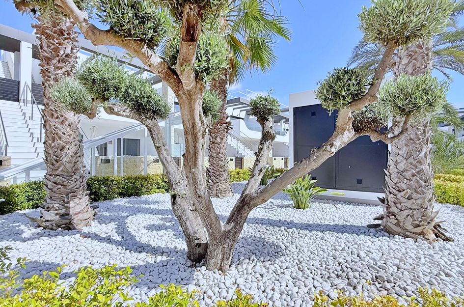 Penthouse in Cabo Roig