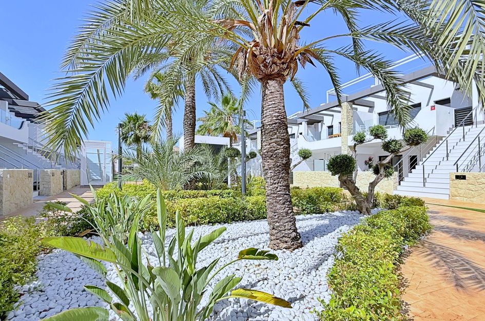Penthouse in Cabo Roig