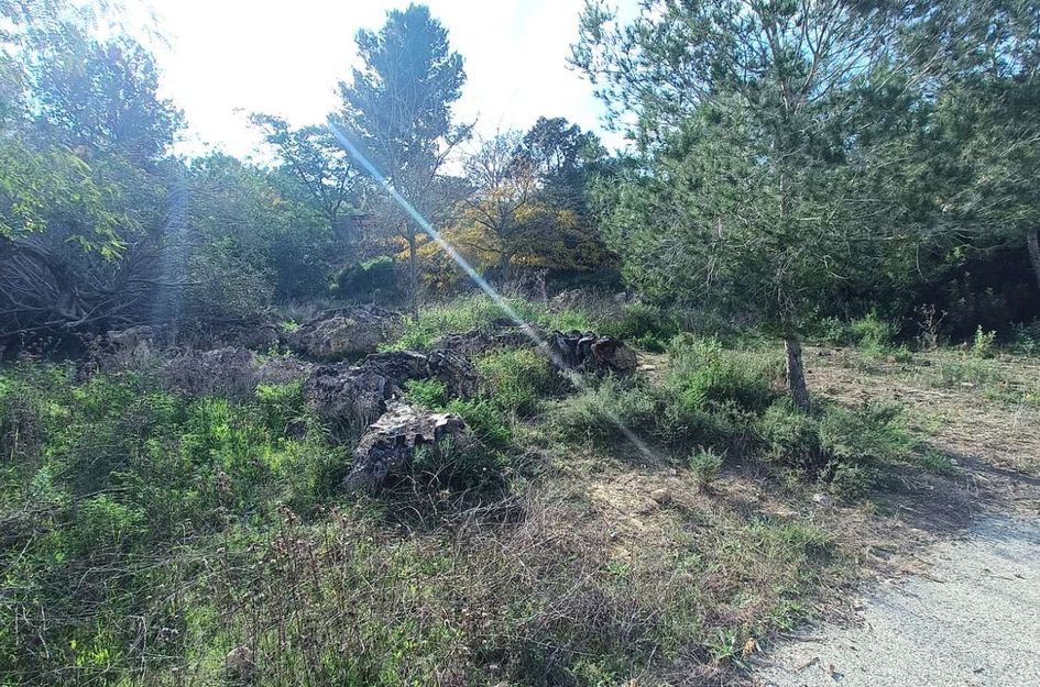 Finca in Gea y Truyols