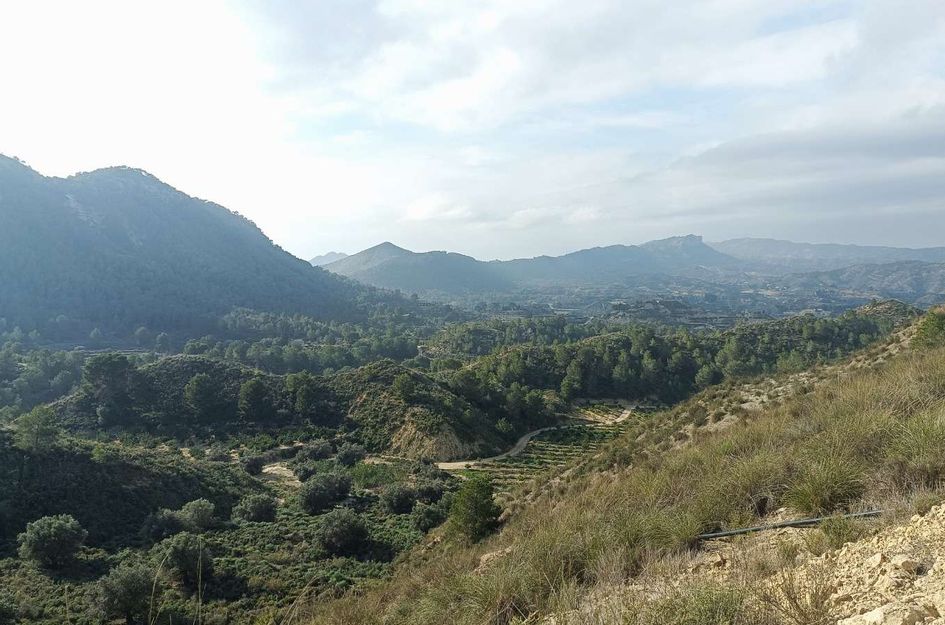 Finca in Gea y Truyols