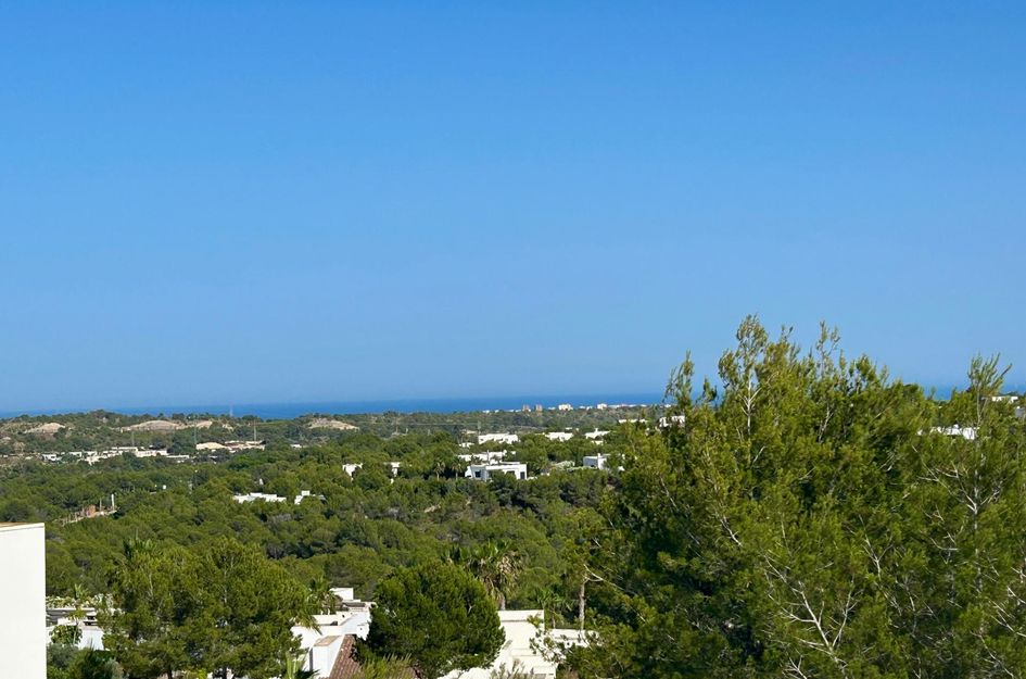 Penthouse in Campoamor R-5
