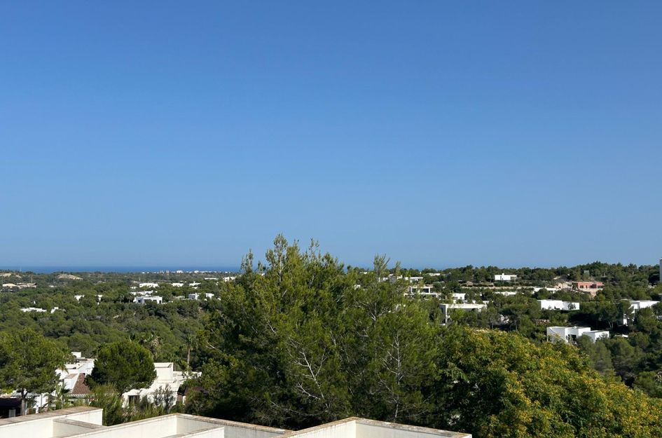 Penthouse in Campoamor R-5