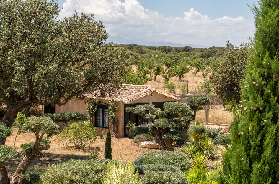 Finca in Freila
