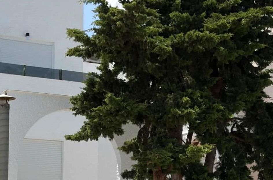 Huis in Torrevieja