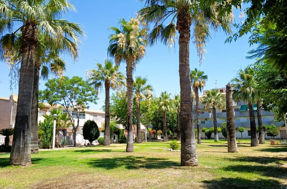 Bungalow in Dehesa de Campoamor