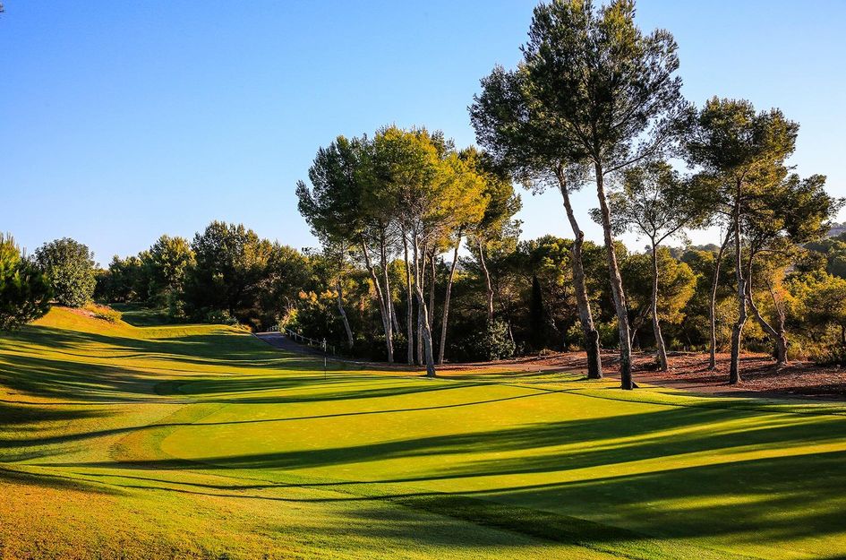 Villa in Campoamor R-5