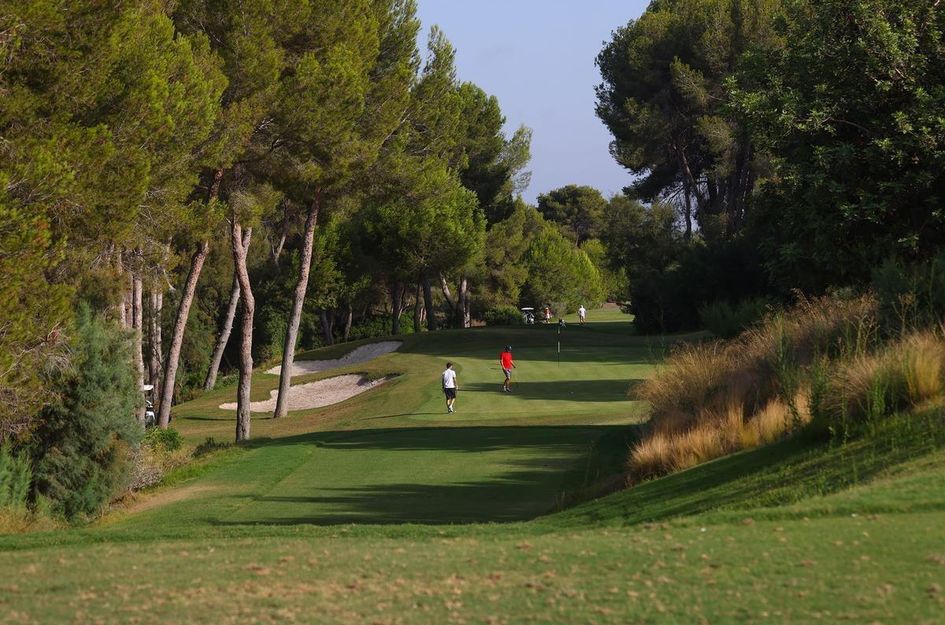 Villa in Campoamor R-5