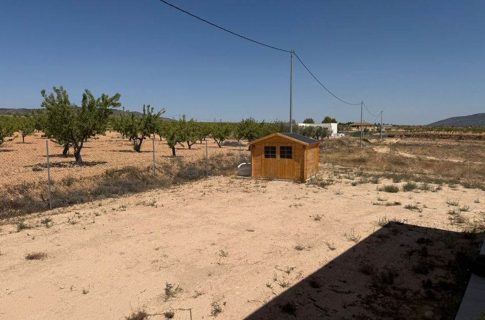 Villa in El Pinós