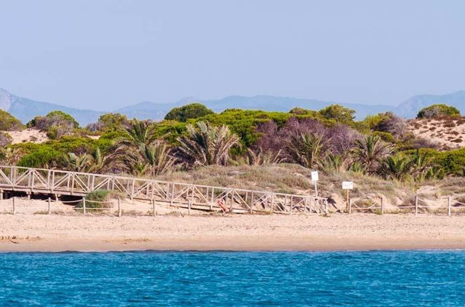 Appartement in Guardamar del Segura