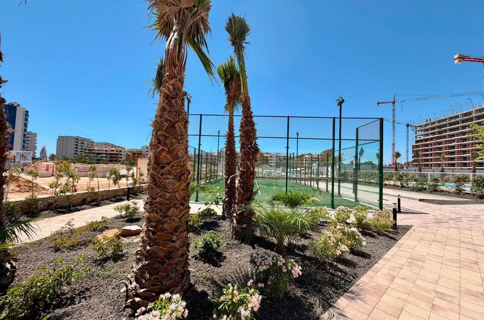 Appartement in Torrevieja
