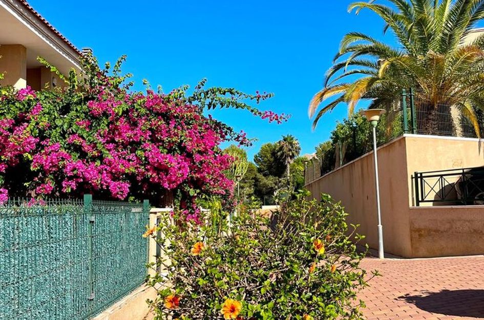 Bungalow in Gran Alacant