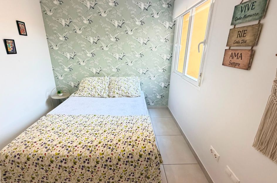 Appartement in Torrevieja